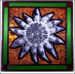 Starfish Panel